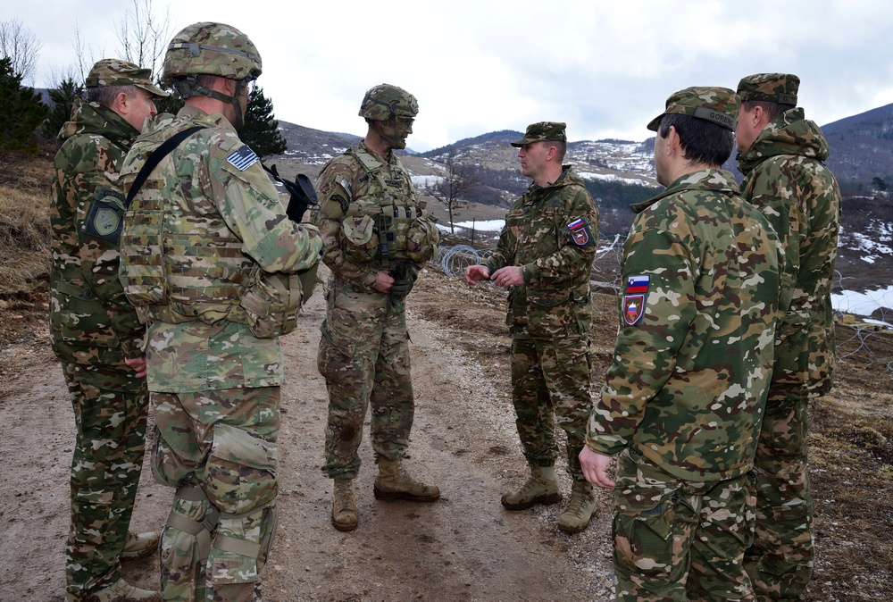 Exercise Lipizzaner IV