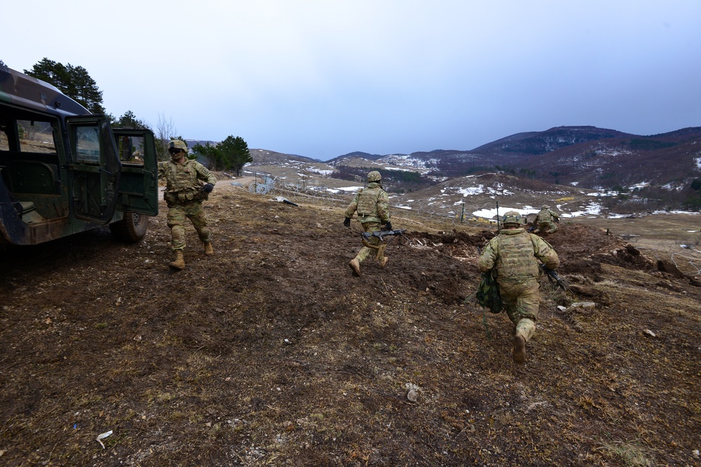 Exercise Lipizzaner IV