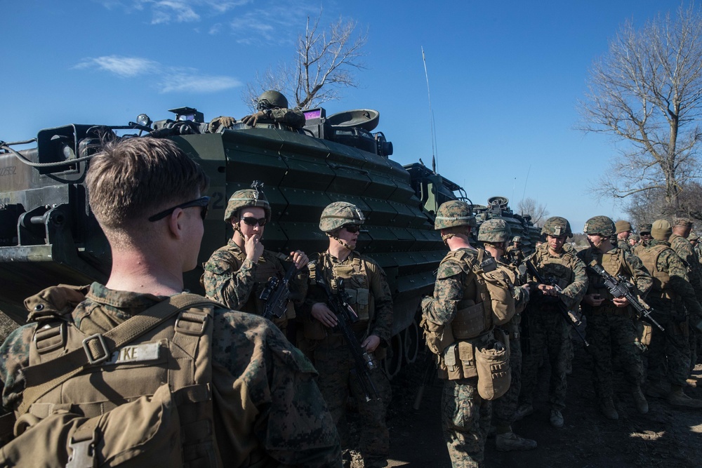 AAV Platoon, 307th Naval Infantry Conduct Familiarization Training during Spring Storm