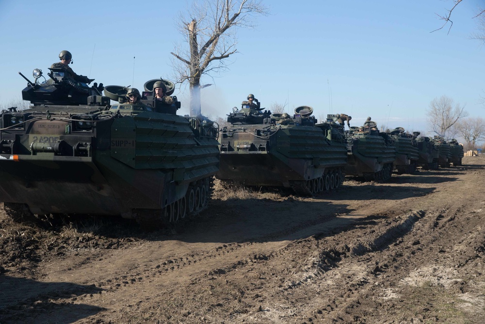 AAV Platoon, 307th Naval Infantry Conduct Familiarization Training during Spring Storm