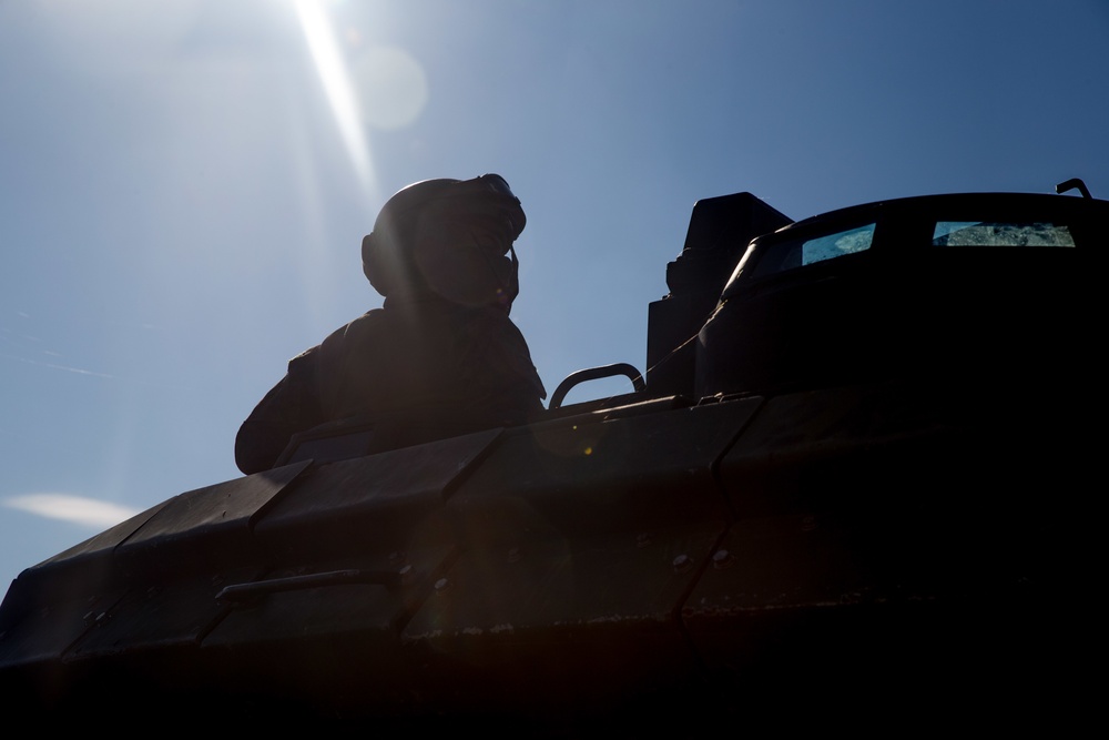 AAV Platoon, 307th Naval Infantry Conduct Familiarization Training during Spring Storm