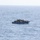 Coast Guard repatriates 202 Haitian migrants