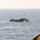 Coast Guard repatriates 202 Haitian migrants