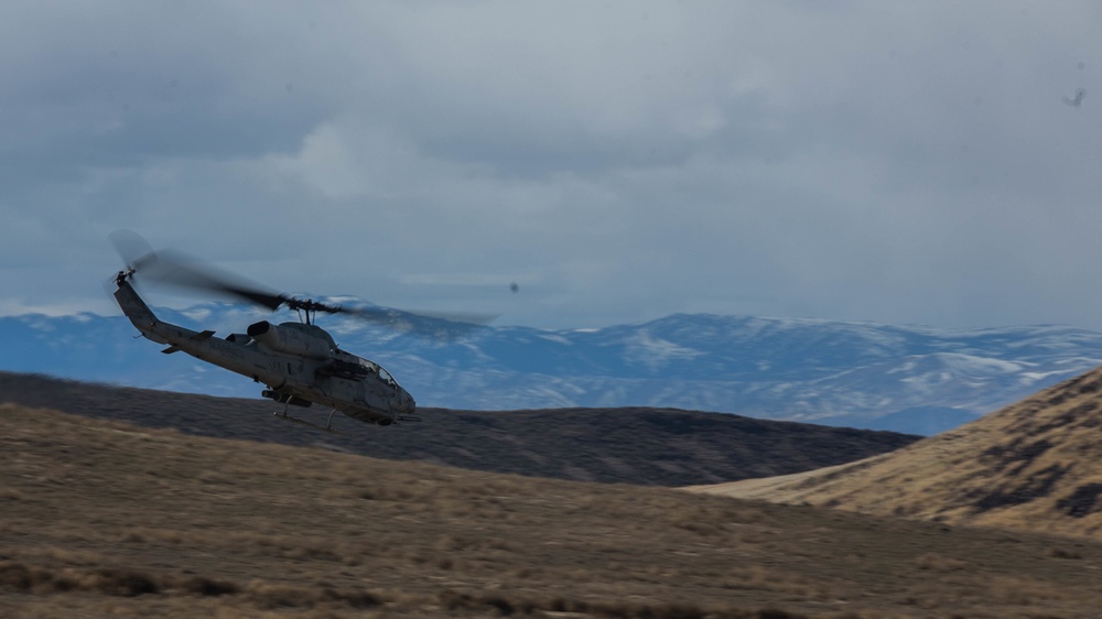 HMLA-269 and 1st ANGLICO Conduct CAS Ex