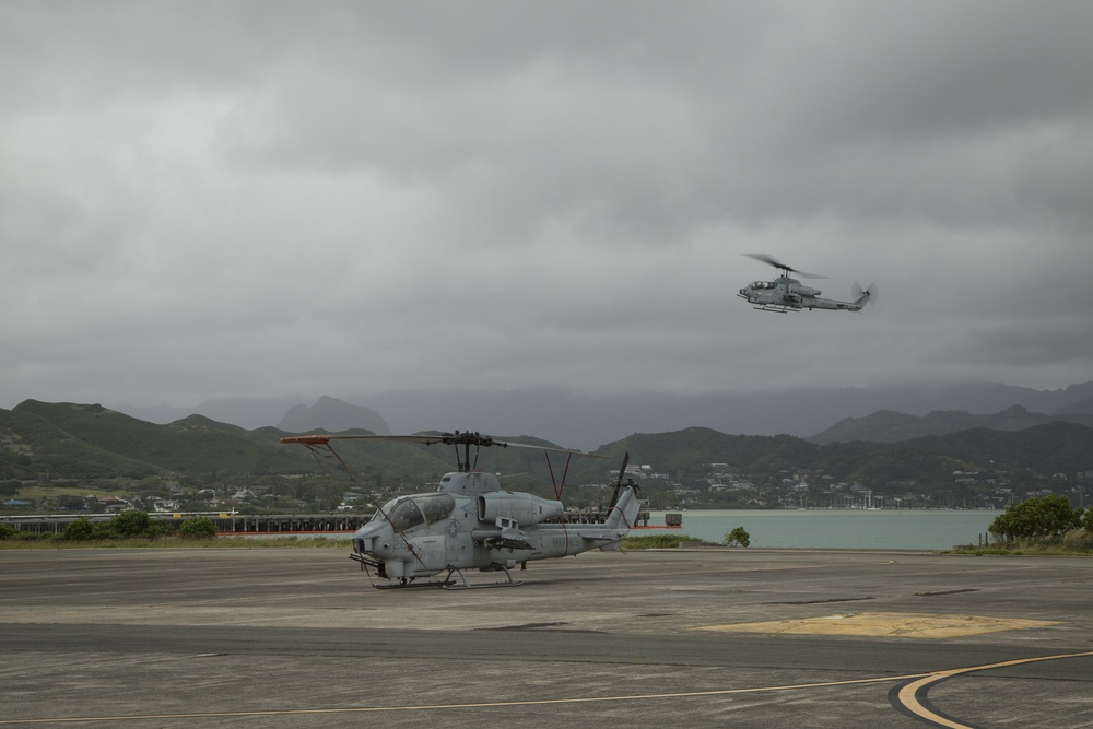 DVIDS - News - HMLA-367 bids farewell to AH-1W Super Cobra helicopters