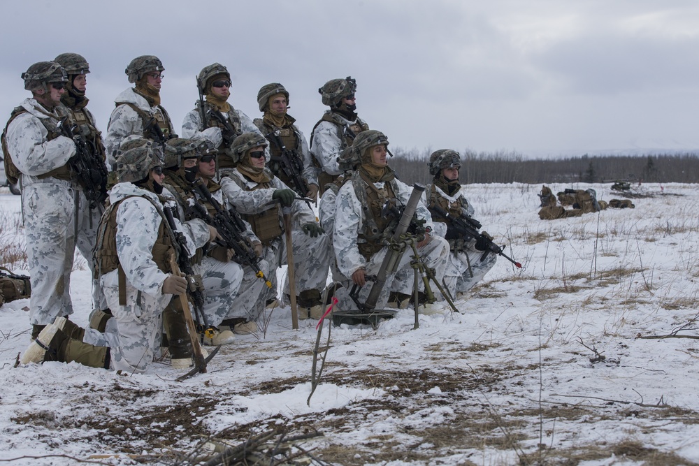 2nd MLG Leadership visits Task Force Arctic Edge Marines