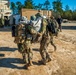 Military Advisor Training Academy Field Training Exercise