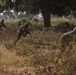 SPMAGTF-CR-AF Marines Train UPDF Soldiers