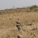 SPMAGTF-CR-AF Marines Train UPDF Soldiers