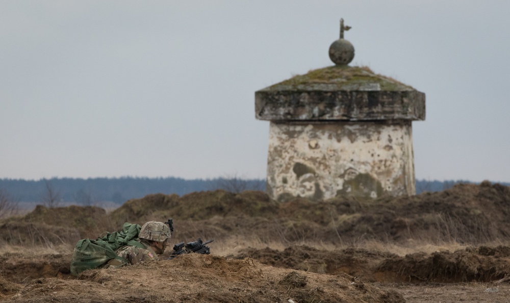 3rd SQDN, 2nd Cav. Reg., conducts Troop LFX