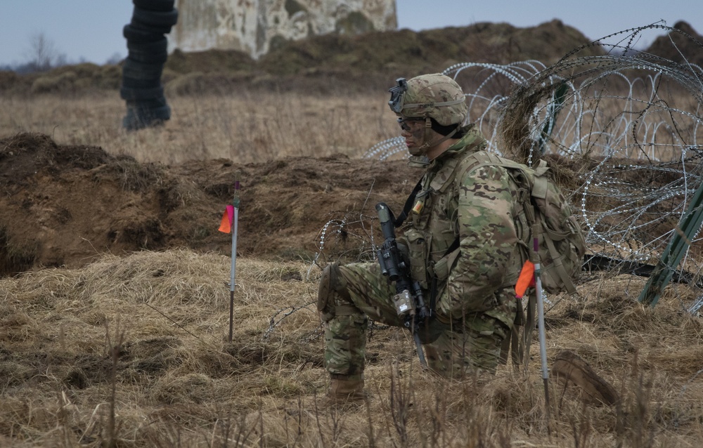 3rd SQDN, 2nd Cav. Reg., conducts Troop LFX