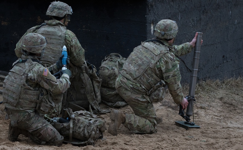 3rd SQDN, 2nd Cav. Reg., conducts Troop LFX