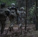 3rd SQDN, 2nd Cav. Reg., conducts Troop LFX