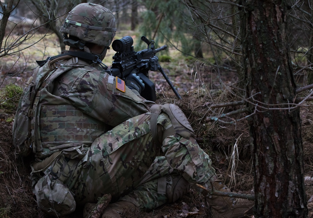 3rd SQDN, 2nd Cav. Reg., conducts Troop LFX