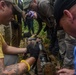 DPAA Recovery Team Conducts MEDEVAC Rehearsal