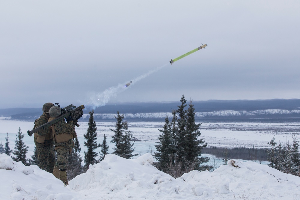 DVIDS - Images - Arctic Edge Stinger Missiles [Image 4 of 7]