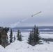 Arctic Edge Stinger Missiles