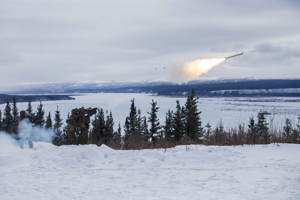 Dvids - Images - Arctic Edge Stinger Missiles [image 5 Of 7]