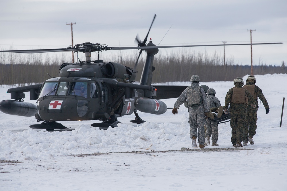 Arctic Edge Casualty Evacuation Drill