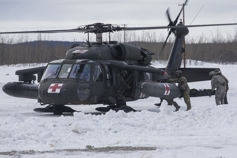 Arctic Edge Casualty Evacuation Drill