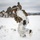 Arctic Edge 2018 Live Fire Exercise
