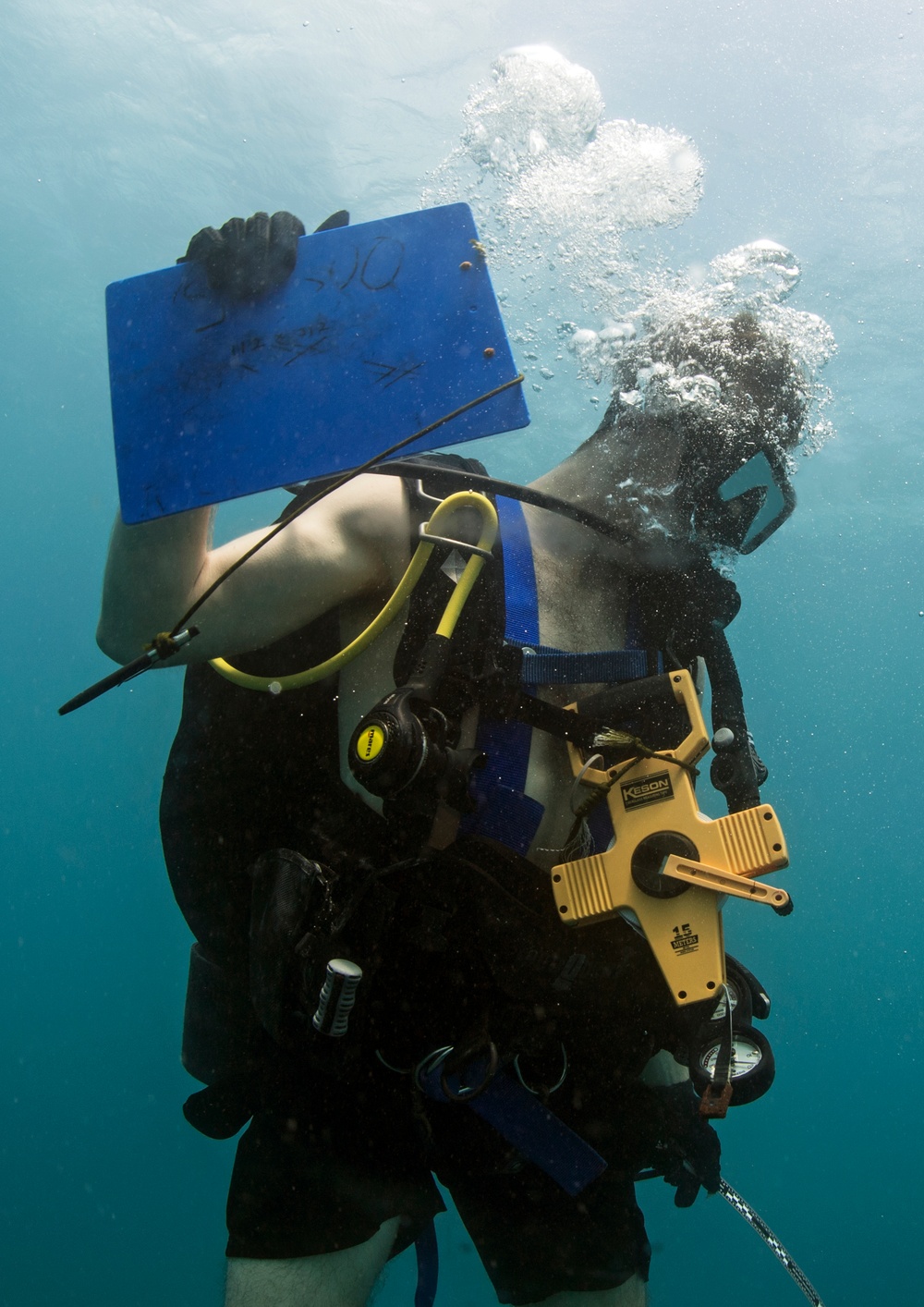 Naval Base Guam Coral Reef Monitoring