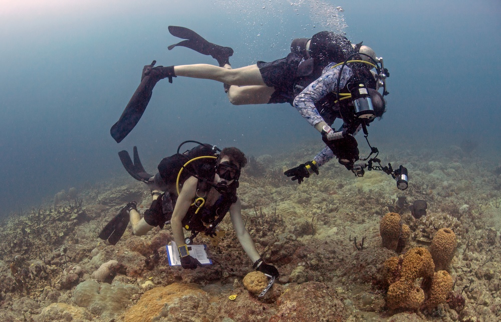 Naval Base Guam Coral Reef Monitoring