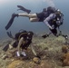 Naval Base Guam Coral Reef Monitoring