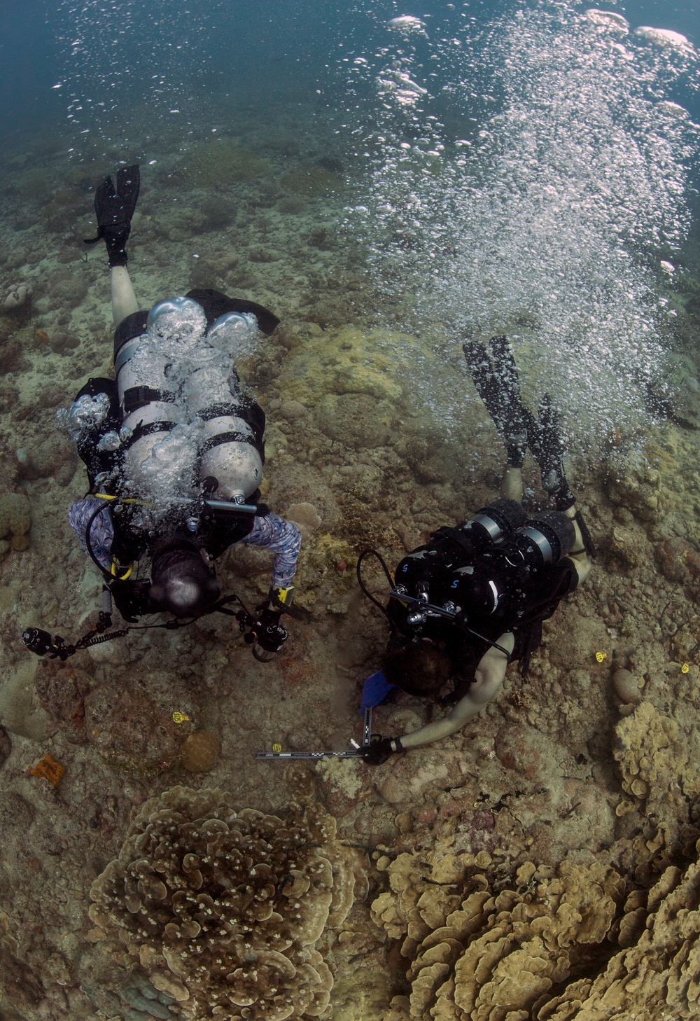 Naval Base Guam Coral Reef Monitoring