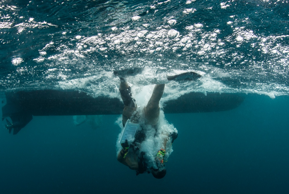 Naval Base Guam Coral Reef Monitoring