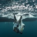 Naval Base Guam Coral Reef Monitoring