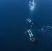 Naval Base Guam Coral Reef Monitoring