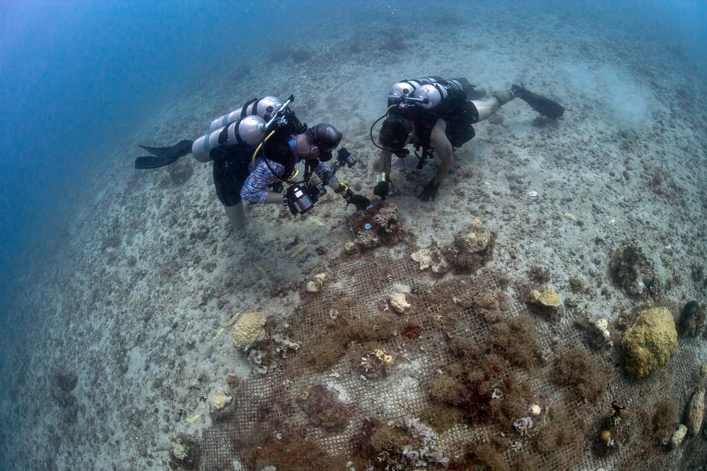 Naval Base Guam Coral Reef Monitoring