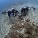 Naval Base Guam Coral Reef Monitoring