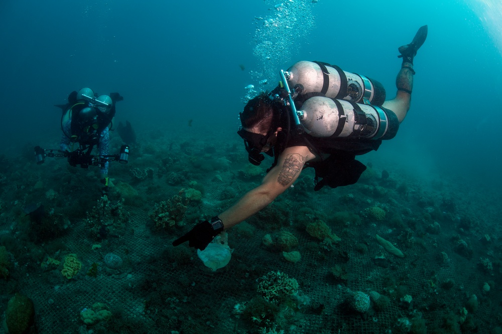 Naval Base Guam Coral Reef Monitoring