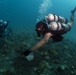 Naval Base Guam Coral Reef Monitoring