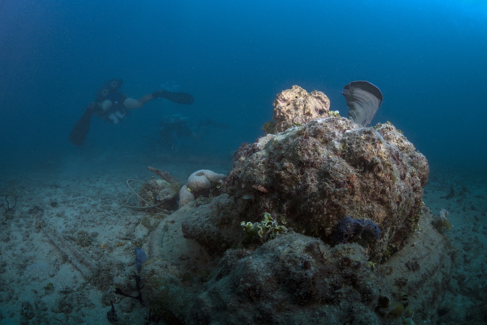 Naval Base Guam Coral Reef Monitoring