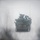 Combined Arms Live Fire Exercise