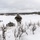 Combined Arms Live Fire Exercise
