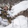 Combined Arms Live Fire Exercise