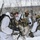 Combined Arms Live Fire Exercise