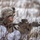 Combined Arms Live Fire Exercise
