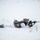 Combined Arms Live Fire Exercise