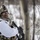 Combined Arms Live Fire Exercise