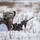 Combined Arms Live Fire Exercise