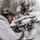 Combined Arms Live Fire Exercise