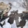 Combined Arms Live Fire Exercise