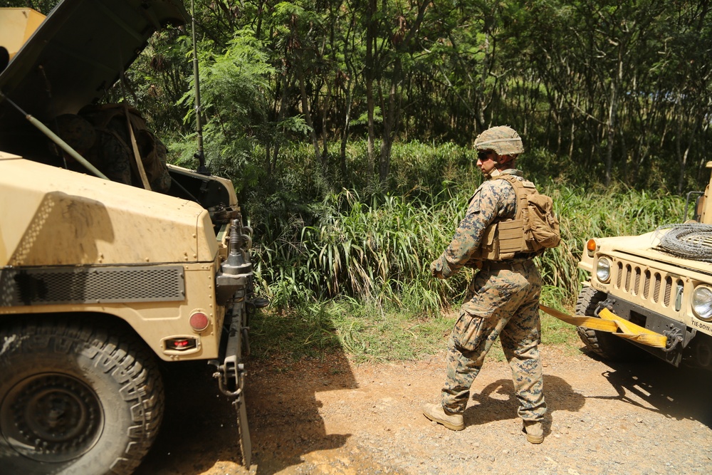 1/3 conducts CAAT mounted patrol during Exercise Bougainville I