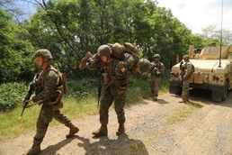 1/3 conducts CAAT mounted patrols during Exercise Bougainville I