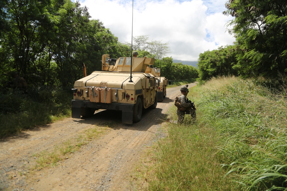 1/3 conducts CAAT mounted patrols during Exercise Bougainville I